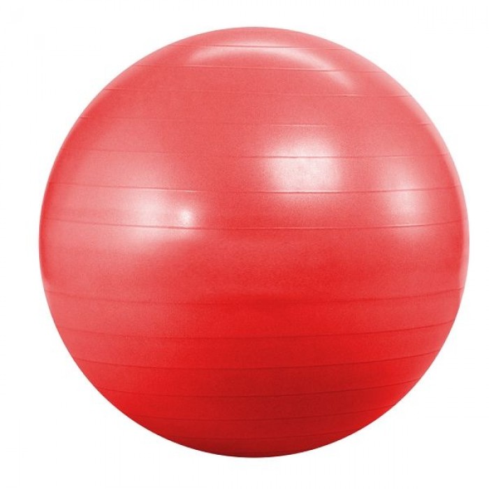 Фітбол (м&#39;яч для фітнесу, гімнастичний) Landfit Fitness Ball 55cm with Pump