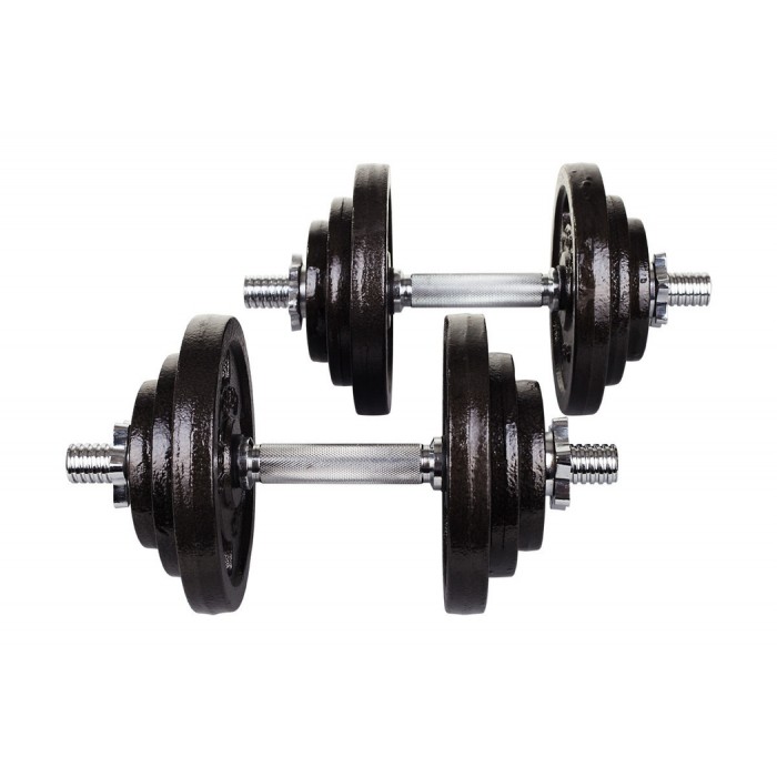 Гантели металлические Hop-Sport Strong 2х20кг