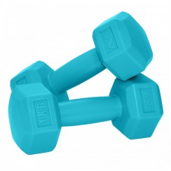 Гантелі для фітнесу SportVida 2 x 1 кг SV-HK0217