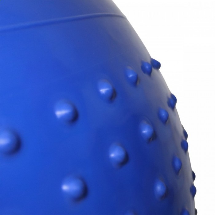 М&#39;яч для фітнесу (фітбол) полумассажний SportVida 65 см Anti-Burst SV-HK0292 Blue