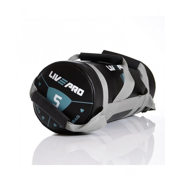 Мішок для кроссфіта LivePro POWER BAG LP8120-5