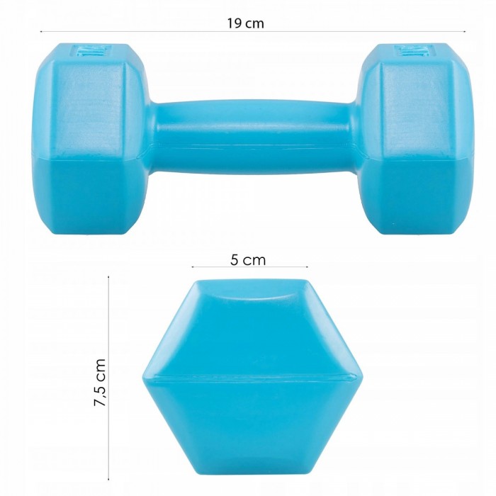 Гантелі для фітнесу Springos Hex 2 x 1 кг FA1030