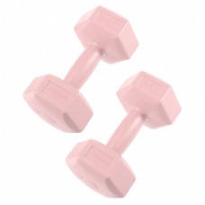 Гантелі Springos Hex 2 x 2 кг FA1063