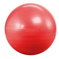 Фітбол (м'яч для фітнесу, гімнастичний) Landfit Fitness Ball 55cm with Pump