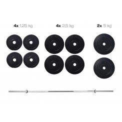 Набір TITAN штанга і гантелі 33кг + HS 1020 + пульт (парта)