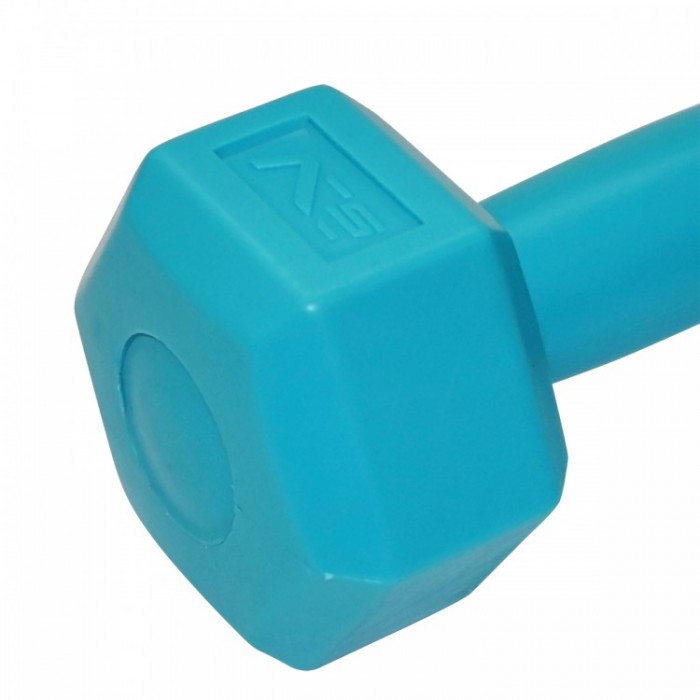 Гантели для фитнеса SportVida 2 x 1 кг SV-HK0217