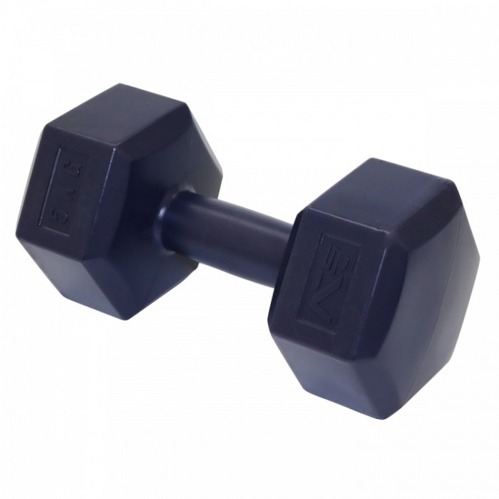 Гантели для фитнеса SportVida 2 x 5 кг SV-HK0221