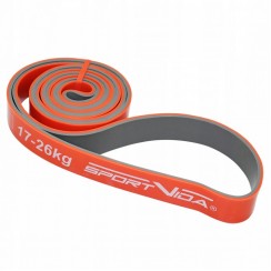 Резинка для подтягиваний (резиновая петля для турника) SportVida Power Band 28 мм 17-26 кг SV-HK0210