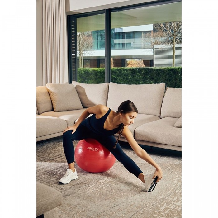 Мяч для фитнеса (фитбол) 4FIZJO 55 см Anti-Burst Red (P-5907222931509)