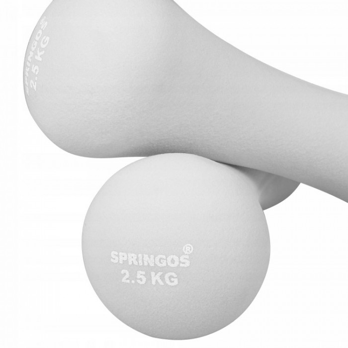 Гантели для фитнеса 2,5 кг 2шт для женщин и детей виниловые Springos FA1041
