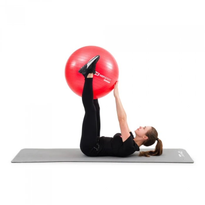 Фитбол Hop-Sport 55см красный + насос 2020