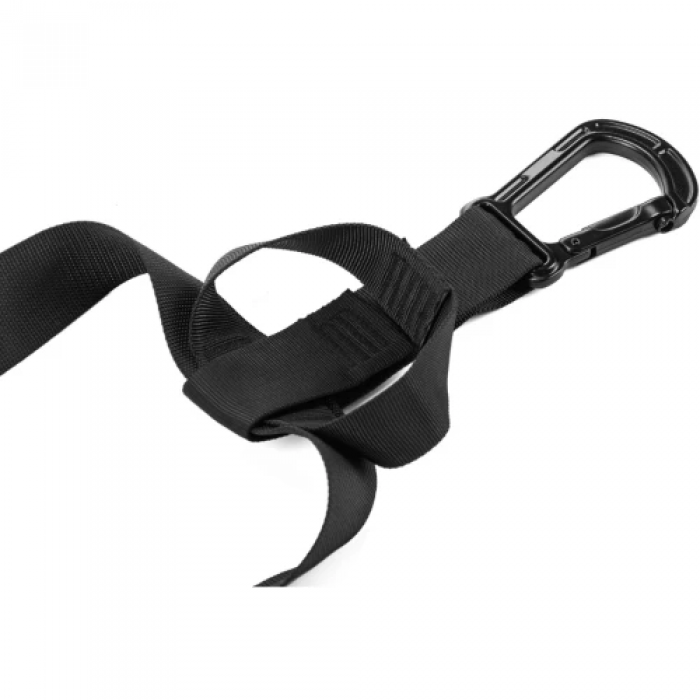 Тренировочные петли TRX Gymtek Pro голубой