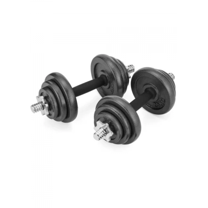 Набір гантелі в кейсі Gymtek чавунні 2х10 кг