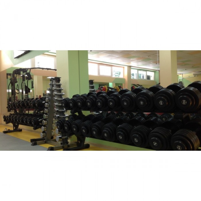 Хромований гантельний ряд Generation Fitness D-04 1-10 кг (10 пар) 110 кг