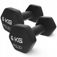 Гантели для фитнеса виниловые 4FIZJO Classic 2 x 6 кг (P-5905973403191)