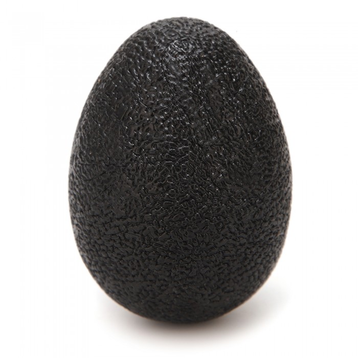 Набір еспандерів Cornix Hand Grip Workout Kit 5 шт XR-0269 Black