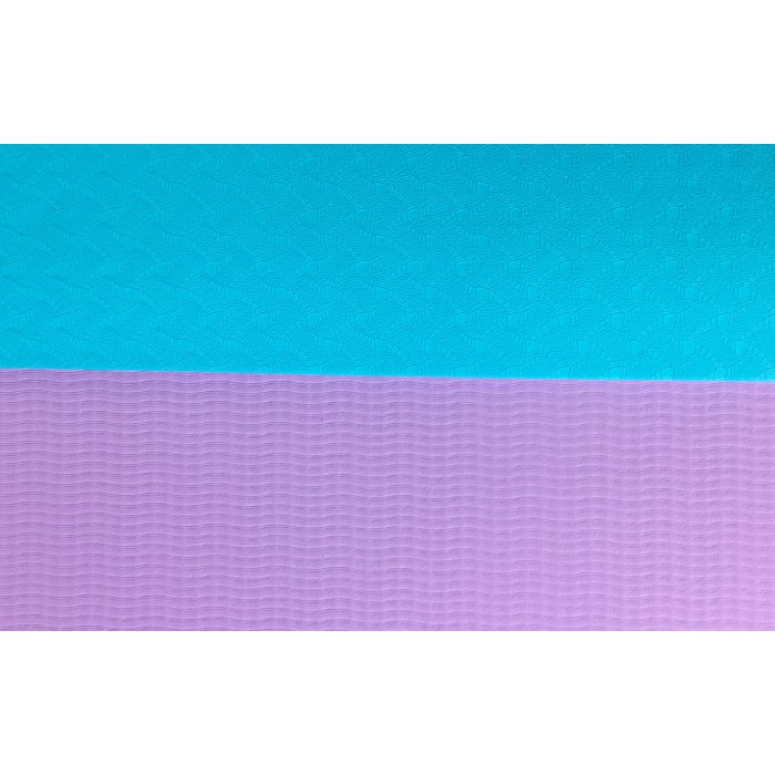 Коврик для йоги и фитнеса EasyFit TPE+TC 6 мм двухслойный мятный-фиолетовый