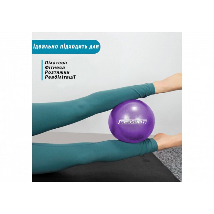 Мяч для пилатеса EasyFit 25 см фиолетовый