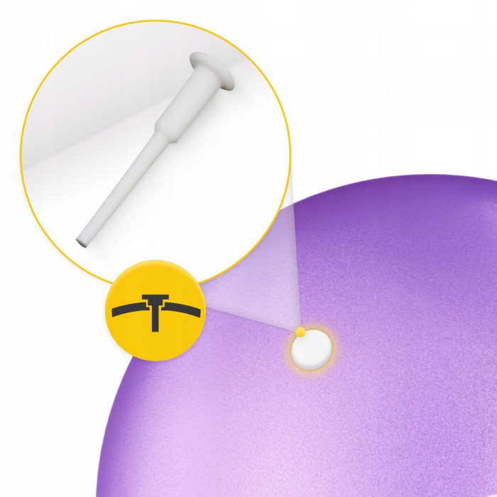 Мяч для пилатеса, йоги, реабилитации 4FIZJO 22 см Violet (P-5905973404860)