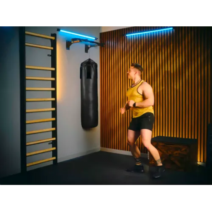 Турник настенный Trex Sport TX-030PB черный