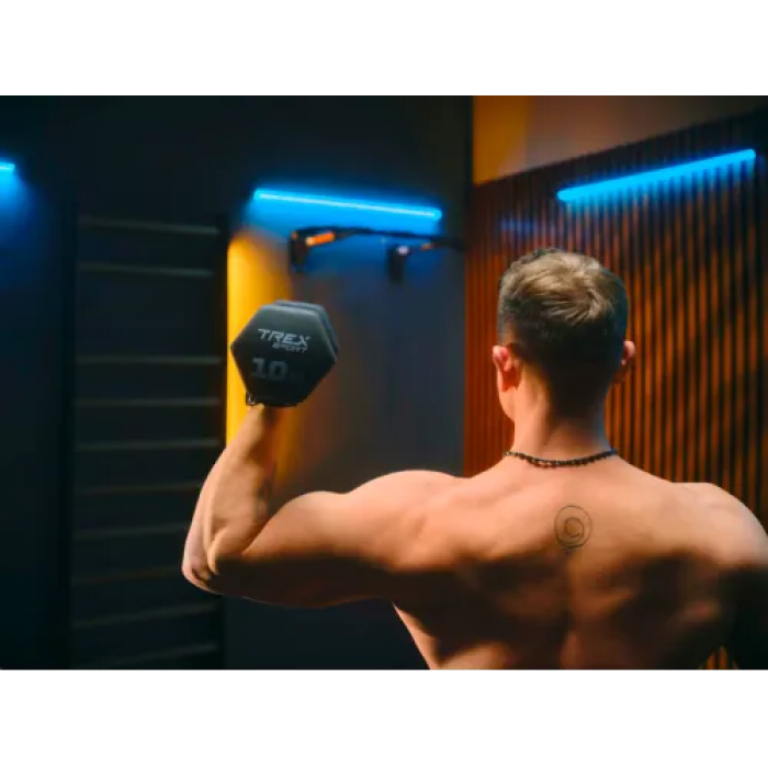 Турник настенный Trex Sport TX-030PB черный