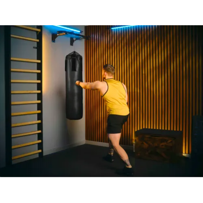 Турник настенный Trex Sport TX-030PB черный