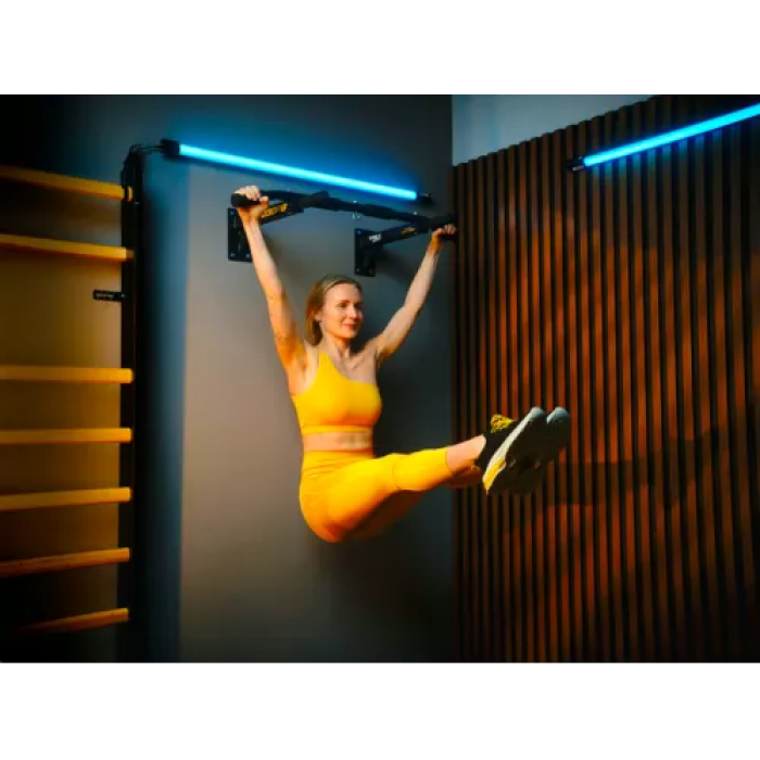 Турник настенный Trex Sport TX-030PB черный