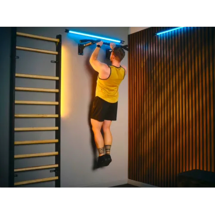 Турник настенный Trex Sport TX-030PB черный