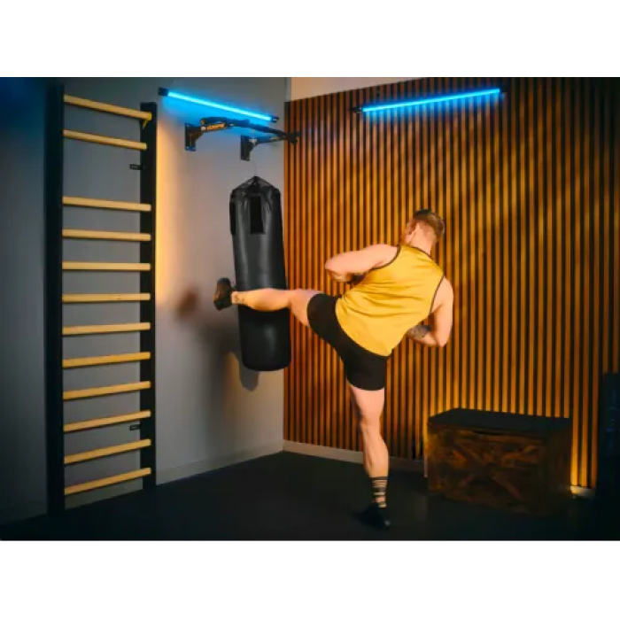 Турник настенный Trex Sport TX-030PB черный