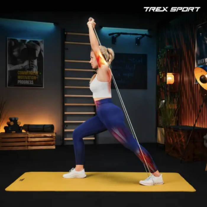 Набір резинок для підтягування та спорту Trex Sport TX-003PB 3в1 2-30кг