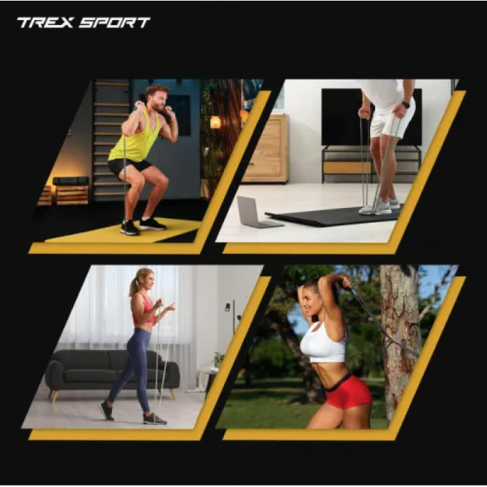 Набір резинок для підтягування та спорту Trex Sport TX-003PB 3в1 2-30кг