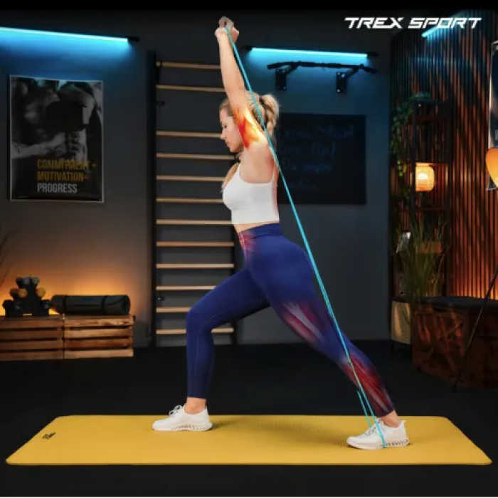 Набір резинок для підтягування та спорту Trex Sport TX-004PB Power Band 4в1 2-41кг