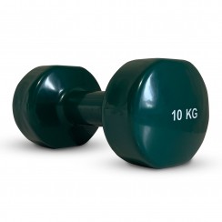 Гантель для фитнеса виниловая Stein 10 кг 1шт зеленая
