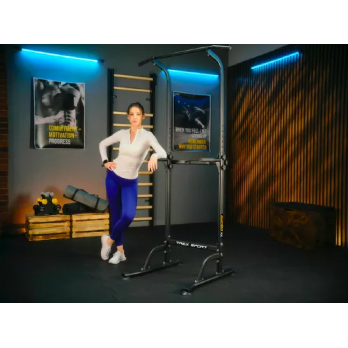 Силовая станция турник-брусья Trex Sport TX-060PR