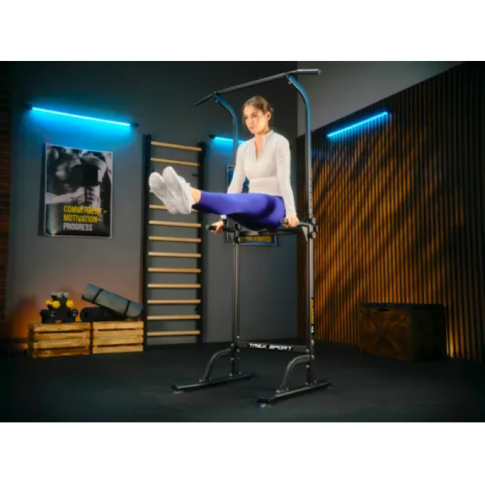 Силовая станция турник-брусья Trex Sport TX-060PR