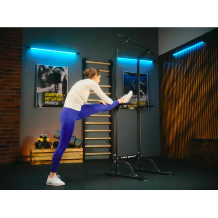 Силовая станция турник-брусья Trex Sport TX-060PR