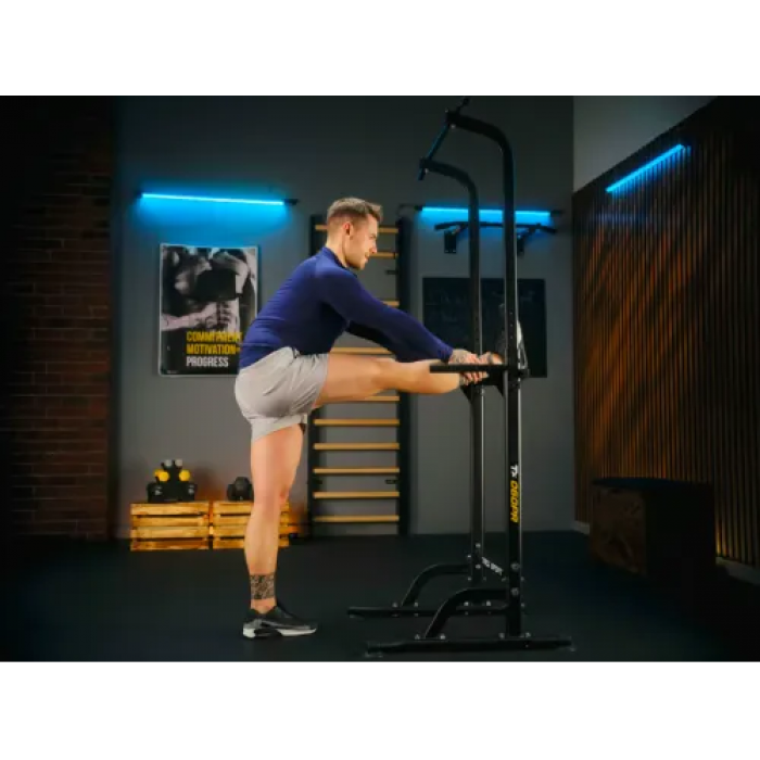 Силовая станция турник-брусья Trex Sport TX-060PR