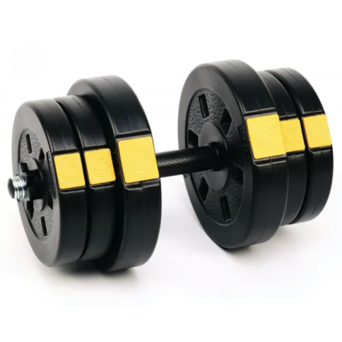 Гантели разборные Besport PowerPro 2х21кг