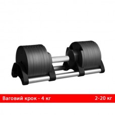 Гантель регулируемая Generation Fitness 2-20 кг GF2-20KG (шаг - 2 кг)