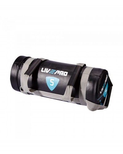 Мешок для кроссфита LivePro POWER BAG LP8120-25